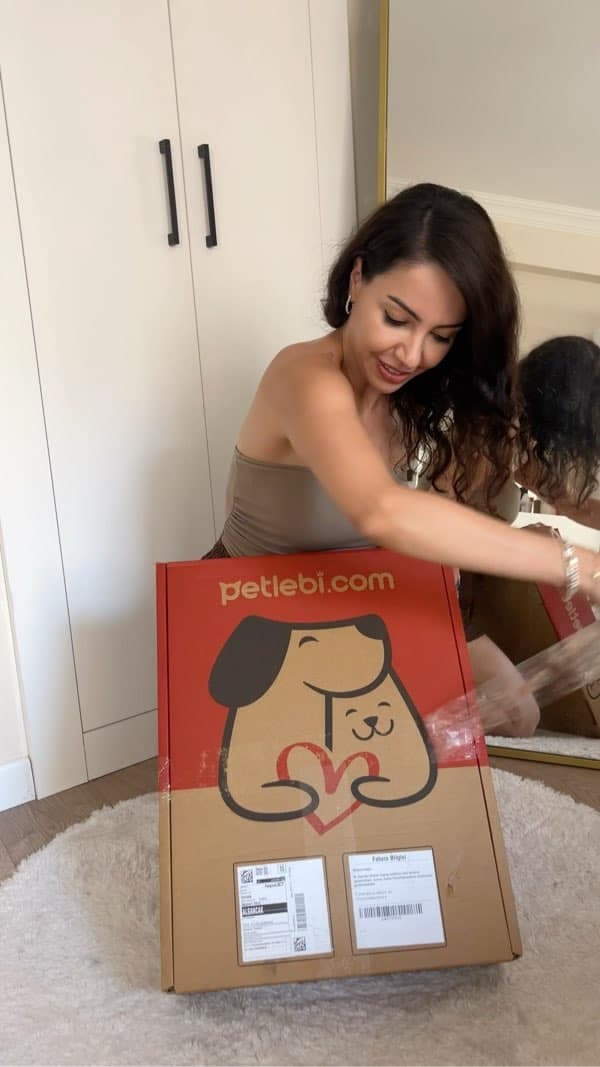 Petlebi